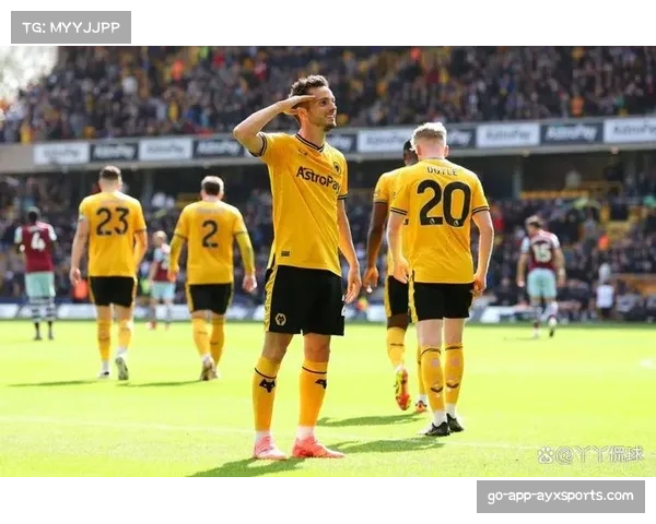 英超半程保级区形势明朗 狼队伯恩利西汉姆深陷降级区